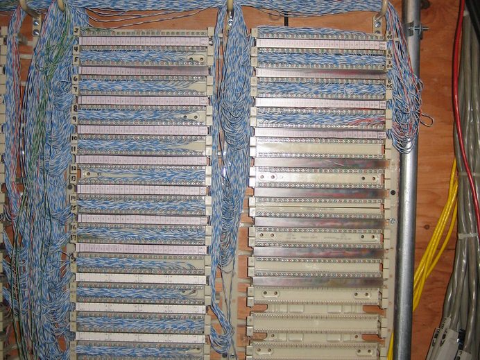 Rows of telephone punch-down blocks on a plywood backboard, packed with blue and white twisted-pair wires